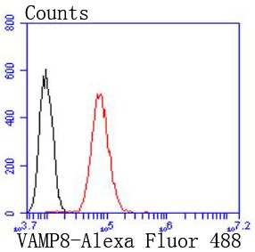 verifiedActivity