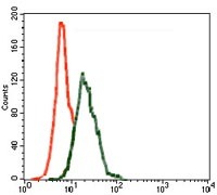 verifiedActivity