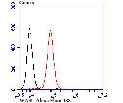 verifiedActivity