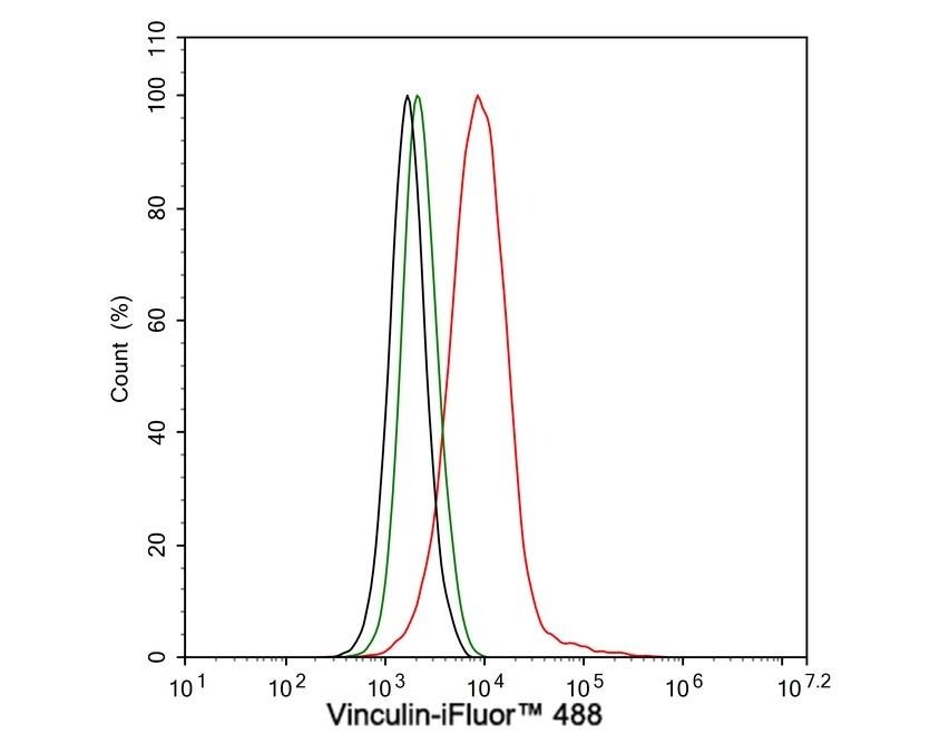 verifiedActivity