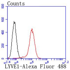 verifiedActivity