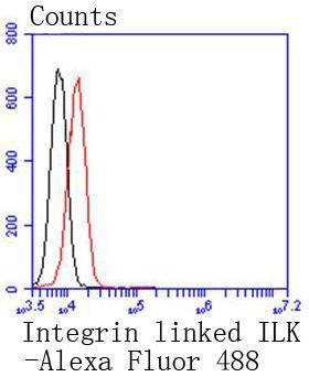 verifiedActivity