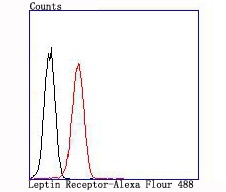 verifiedActivity