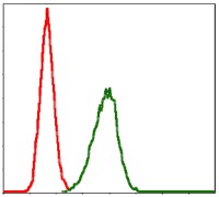verifiedActivity
