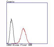 verifiedActivity