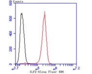 verifiedActivity