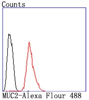 verifiedActivity