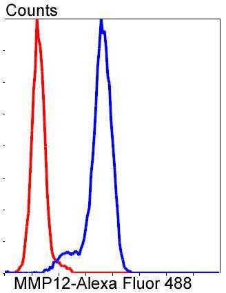 verifiedActivity