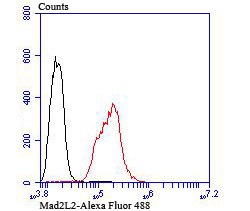 verifiedActivity