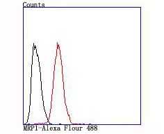verifiedActivity