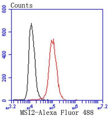 verifiedActivity