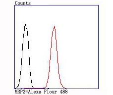 verifiedActivity