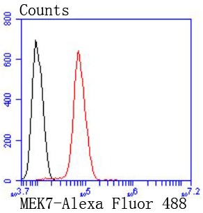 verifiedActivity