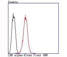 verifiedActivity