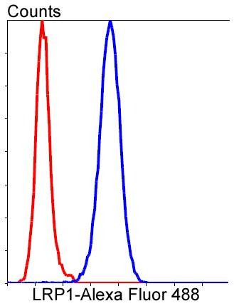 verifiedActivity