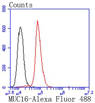 verifiedActivity