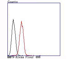 verifiedActivity