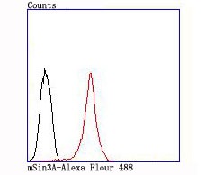 verifiedActivity