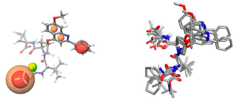 LF Antiviral Libraries