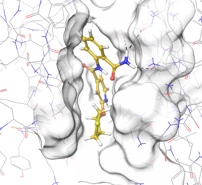 Anti-inflammatory Screening Compound Library