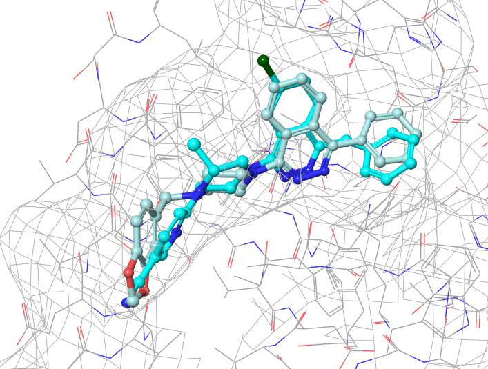 Anti-inflammatory Screening Compound Library