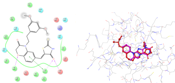 Anti-inflammatory Screening Compound Library