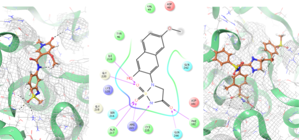 Anti-inflammatory Screening Compound Library