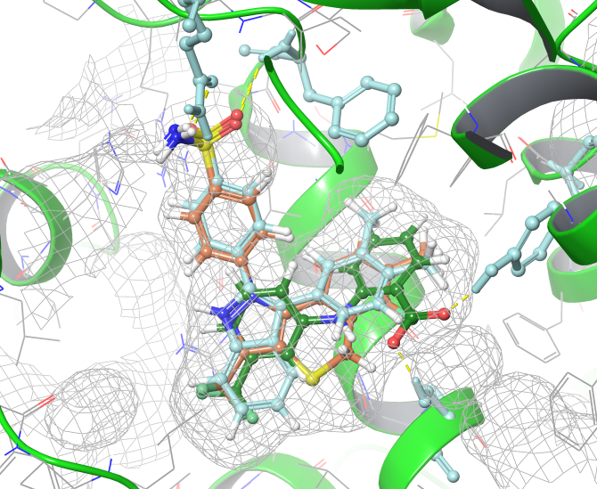 Anti-inflammatory Screening Compound Library