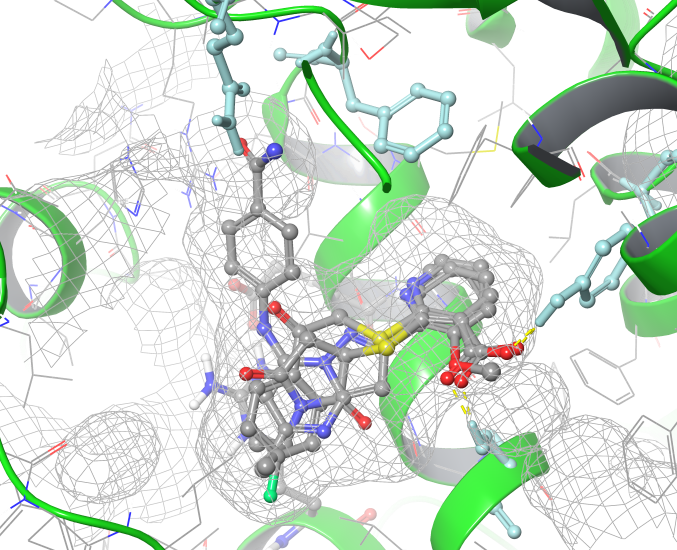 Anti-inflammatory Screening Compound Library