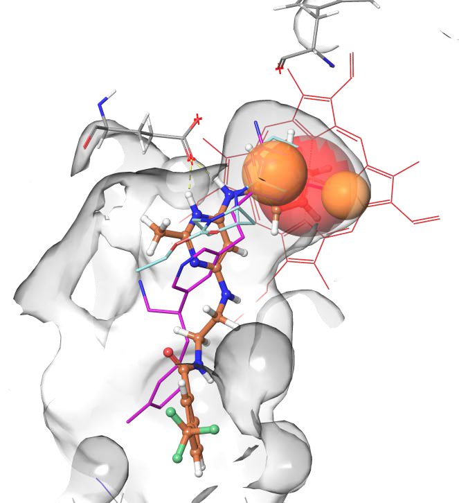Anti-inflammatory Screening Compound Library