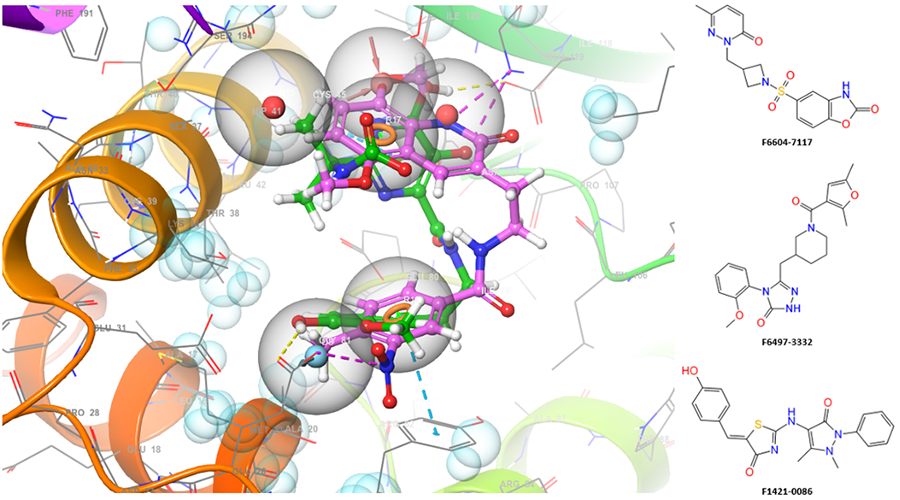 LF Antiviral Libraries