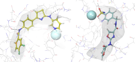 Anti-inflammatory Screening Compound Library
