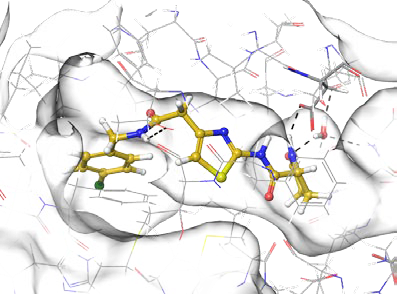 Anti-inflammatory Screening Compound Library