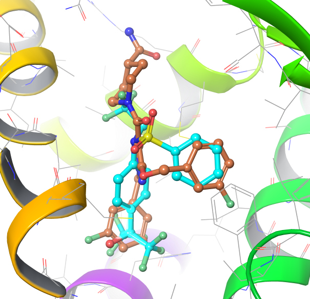 Anti-inflammatory Screening Compound Library