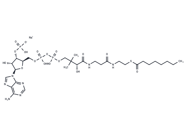 Octanoyl Coenzyme A (sodium salt)