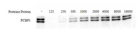 Targetmol | C0186
C0189
C0190
C0191
C0192 | Image