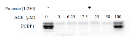 Targetmol | C0186
C0189
C0190
C0191
C0192 | Image