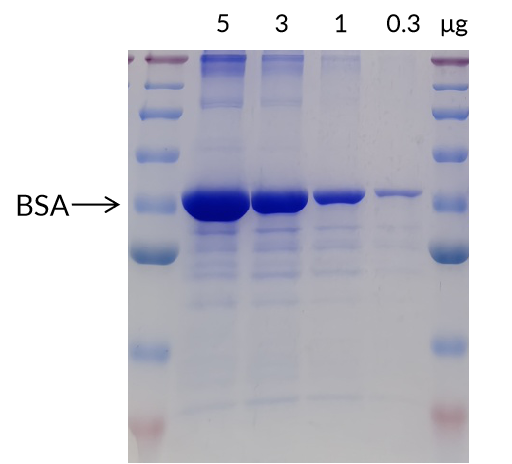 Targetmol | C0186
C0190 | Image