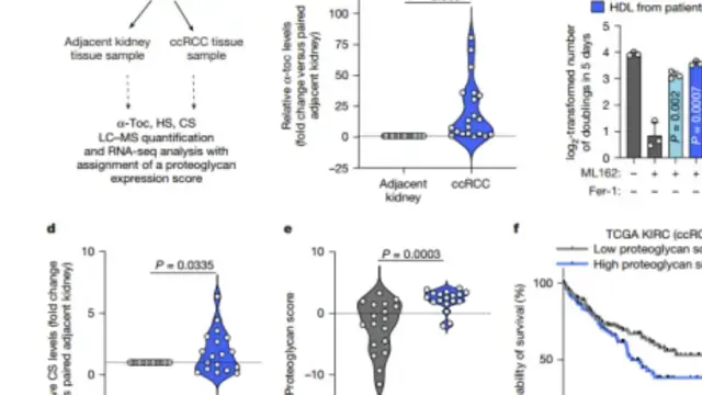 Nature重磅！揭示癌细胞抵抗铁死亡的机制