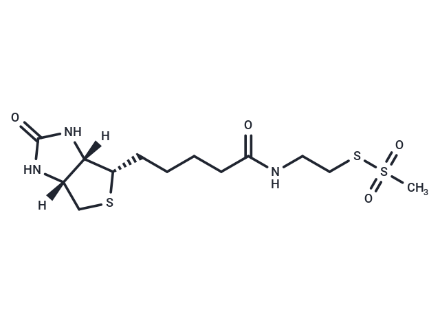 MTSEA-biotin