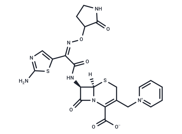 Cefempidone