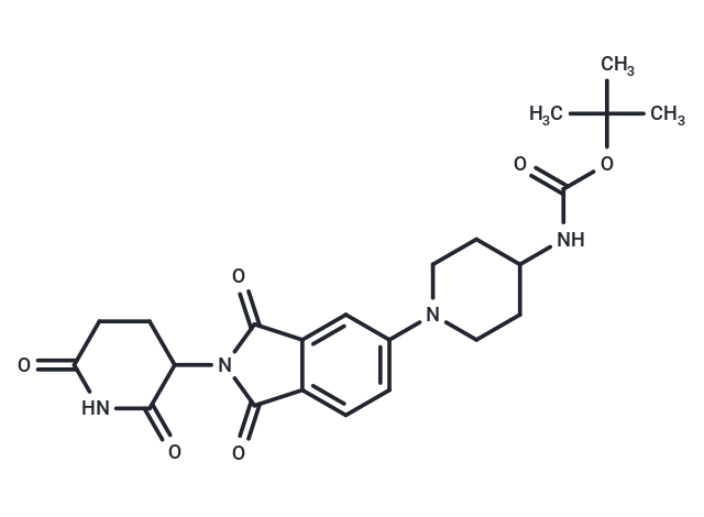 Thalidomide-Pip-N-boc