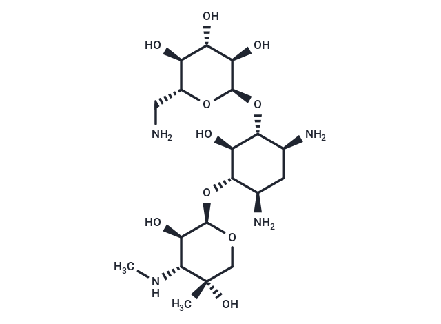 Gentamicin B