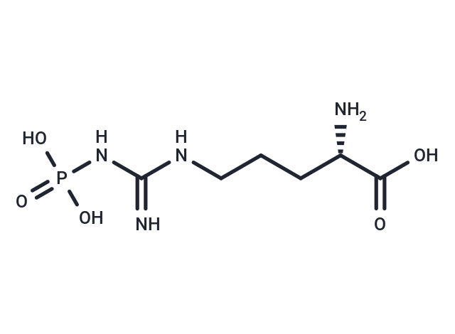 Phospho-L-arginine