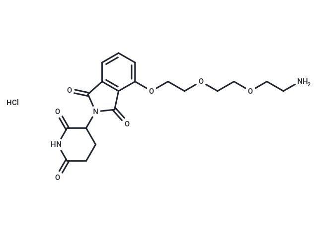 Thalidomide-PEG3-NH2 hydrochloride