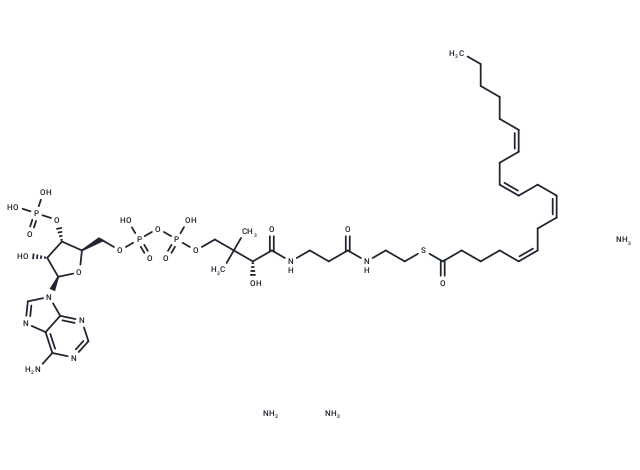 Arachidonoyl CoA triammonium