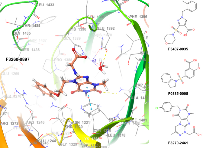 Targetmol | LF2900 | Image