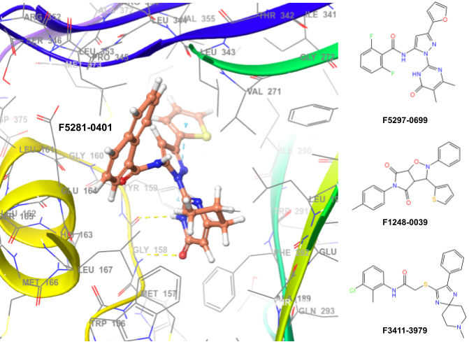 Targetmol | LF2900 | Image
