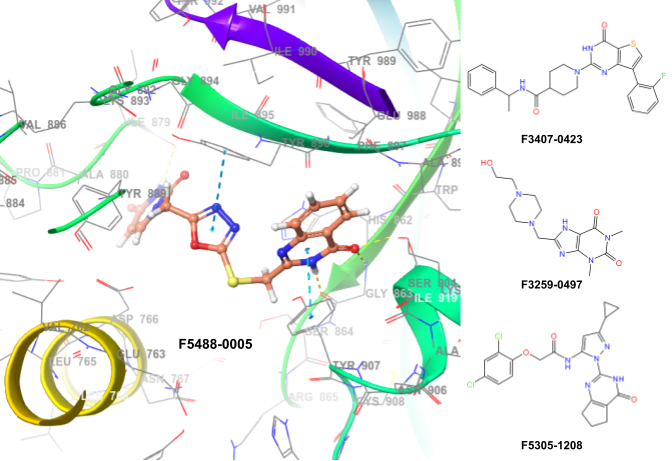Targetmol | LF2900 | Image