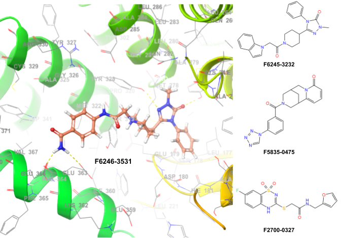 Targetmol | LF2900 | Image